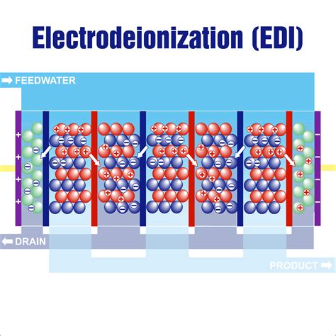 What Is Eletrodeionization How Does Edi Workf Rephile Bioscience
