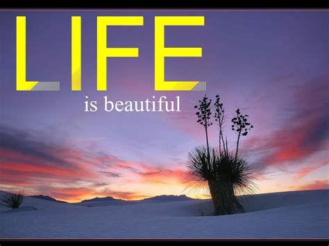 Beautiful Life