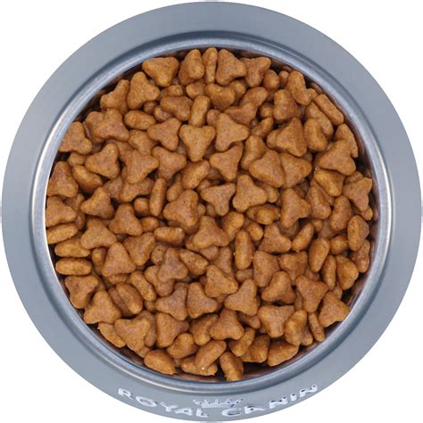 Dog Food Png Transparent Image Download Size 1499x1500px
