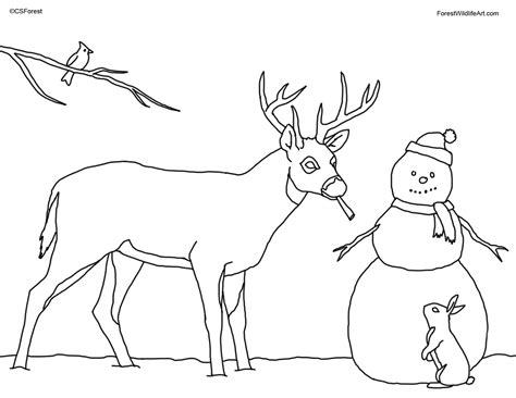 Deer coloring pages for kids: Crista Forest's Animals & Art: Coloring Book Page for Kids ...
