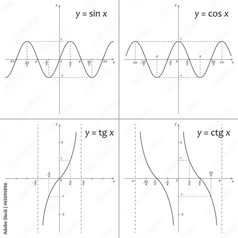 Mathematics Functions Y Sin X Y Cos X Y Tg X Y Ctg X Vector De Stock Adobe Stock