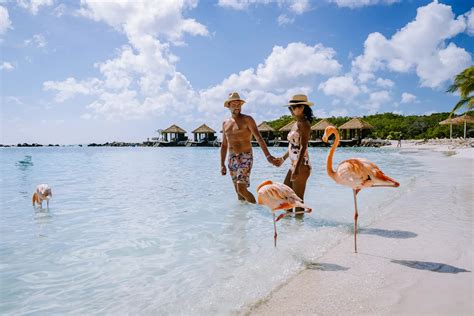 Best Resorts In Aruba For Adults All Inclusive Options