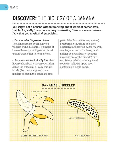 The Biology Of Bananas Angus And Robertson