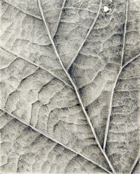 Image Result For Leaf Texture Drawing Eskiz Çizim Görsel Sanatlar