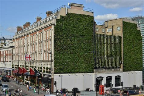 Sa Hotel Group Red Carnation Unveils Londons Largest Living Wall