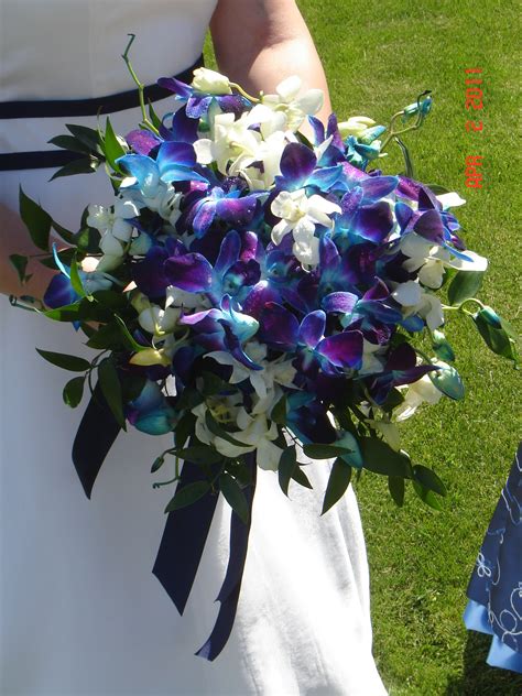 We did not find results for: Blue and White dendrobium orchid bridal bokay I made for ...