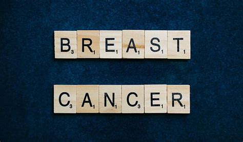 Researchers Bio Print Breast Cancer Tumours Treat Them In A