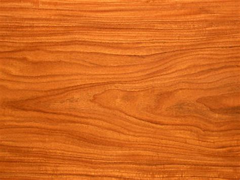 The Wood Connection A-few-facts-about-wood - The Wood Connection
