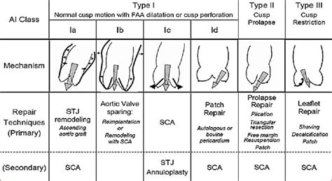 El Khoury Functional Classification For Aortic Regurgitation Sca