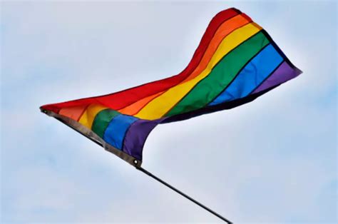 gay marriage bill passes state senate [audio]