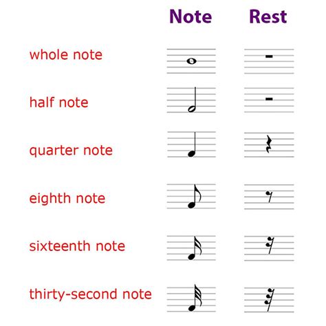 Whole Note Half Note Quarter Note Eighth Note And Corresponding