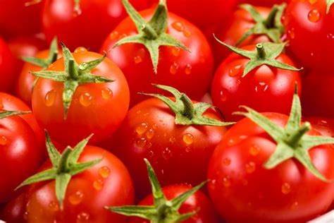 Cómo Cultivar Tomates En Tu Propia Casa De Manera Fácil Y Económica