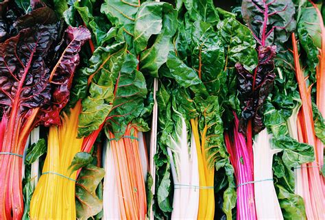 The 20 Best Sources of Fiber on a Plant-Based Diet