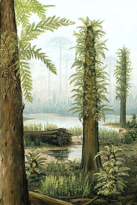 Tempskya Tree Ferns Of The Cretaceous By Richard Bizley Prehistoric