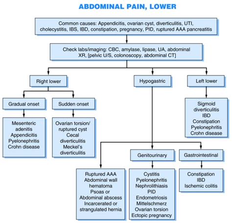 Lower Abdominal Pain Algorithm Gastrointestinal