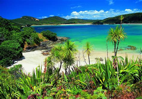 New Zealands Best Beaches Northland New Zealand Blog