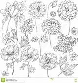 Fiori Flowerbed sketch template