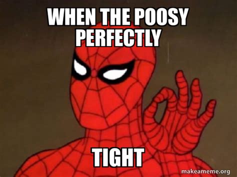 When The Poosy Perfectly Tight Spiderman Care Factor Zero Meme Generator