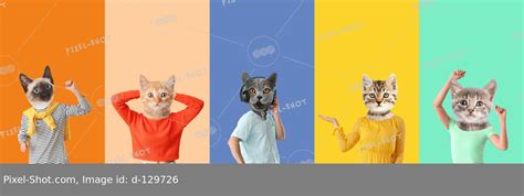 Set Of Funny Cats With Human Bodies On Colorful Background