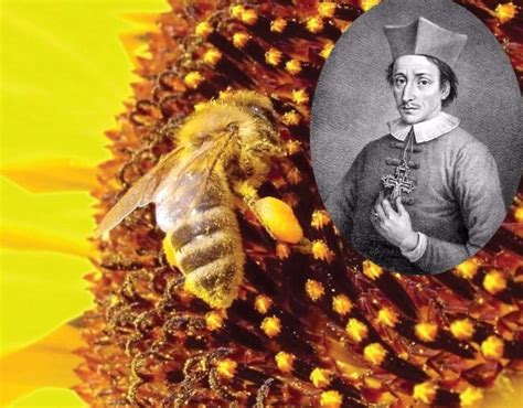 20 Amazing Things You Didnt Know About Bees