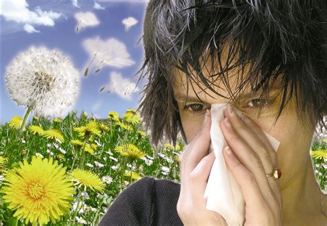 Naturabook Siete Consejos Para Hacer Más Llevadera Tu Alergia Al Polen