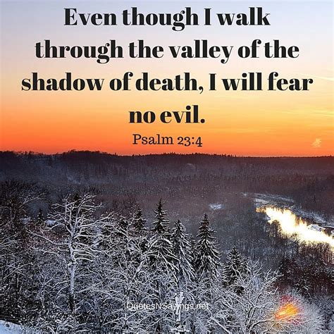 For the wages of sin is death, but and god said, let the waters bring forth abundantly the moving creature that hath life, and fowl that. Bible Verses About Death - Verses Of Hope And Encouragement