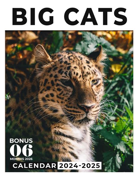 Big Cats Calendar 2024 2025 30 Months Calendar Big Cats