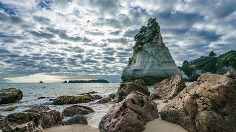 Sandstone Rock Monolith In Cathedral Cove Coromandel New Zealand