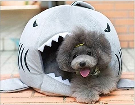 Tickos Shark Bed For Small Cat Dog Cave Bed Removable Cushionwaterproof