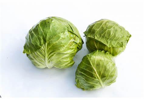 Диета капуста белокочанная Белокочанная капуста: полезные свойства и противопоказания, лечебные Белокочанная капуста: полезные свойства и противопоказания, лечебные Диета капуста белокочанная