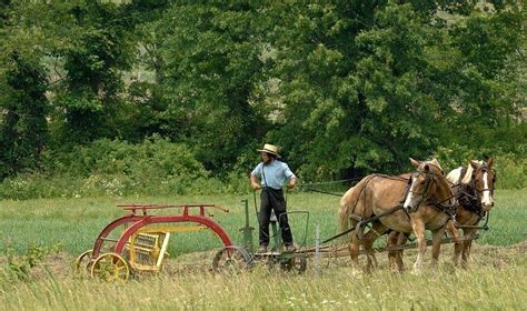 Amish Way Of Life Alchetron The Free Social Encyclopedia