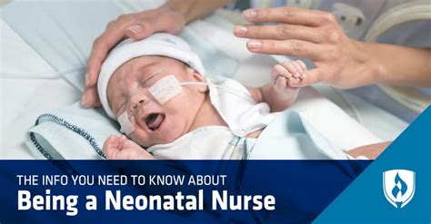 How To Become A Neonatal Nurse Practitioner Contestgold8