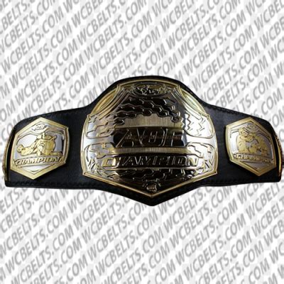 Experience The Triumph With Our Art Of Fighting MMA Championship Belt