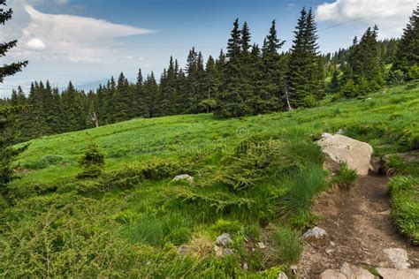 Summer Landscape With Green Hills Of Vitosha Mountain Sofia City