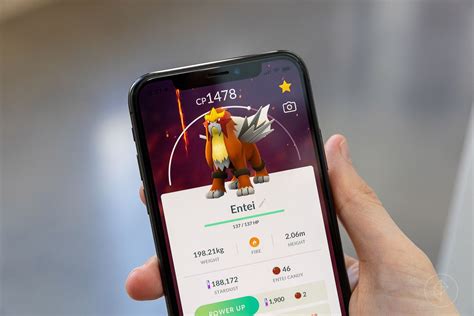 Pokémon Go Entei Raid Best Counters And Movesets Guide Polygon