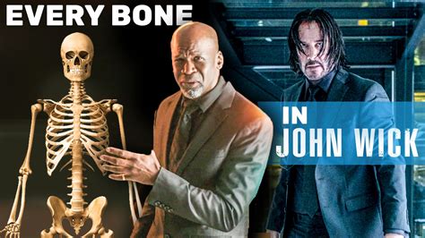 Watch Every Bone In The Human Body Explained Using John Wick Each And
