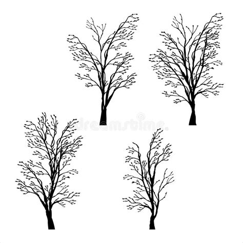 Set Of Trees Silhouettes Stock Vector Illustration Of Pine 47611942