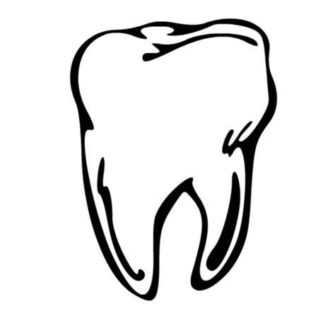Images Of Tooth Clipart Best