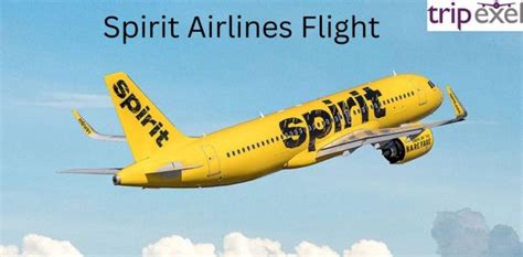 How To Check Your Spirit Airlines Flight Status