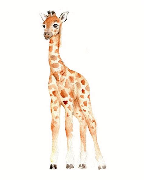 8 X 10 Vertical Print Of A Young Giraffe From My Original Watercolor