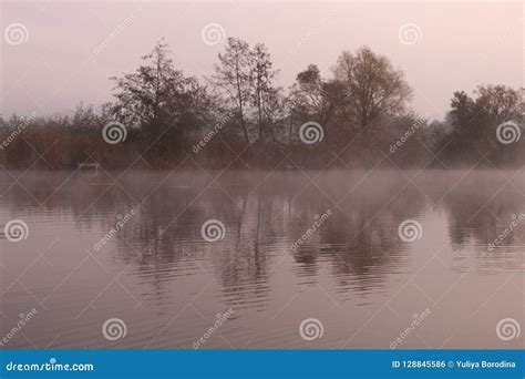 Foggy Sunrise On An Autumn Lake Stock Photo Image Of Trees Pond