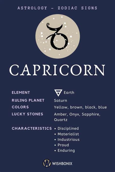 Sun Signs In Astrology And Their Meaning Zodiac Signs Capricorn