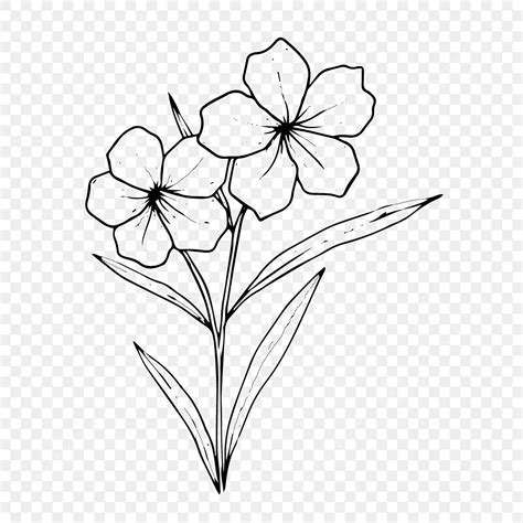 Dibujo De Hermoso Flores Png Dibujos Dibujo De Flores Flor Floral