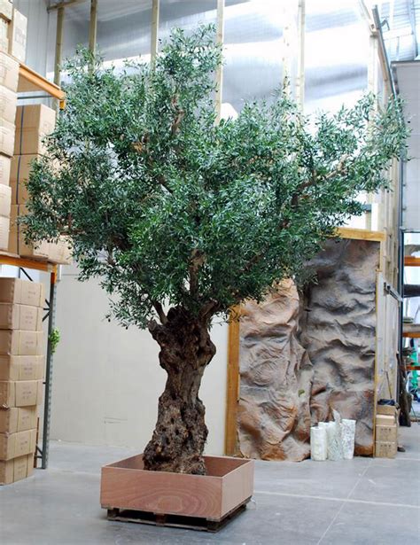 Tall Tree Rental Large Interior Trees Live And Artificial
