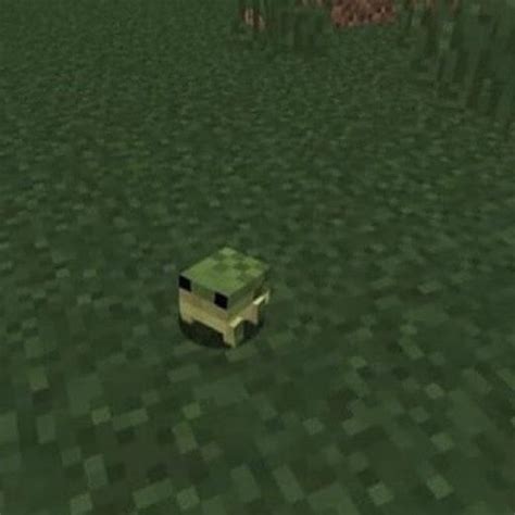 We did not find results for: @froggie_god: "MINECRAFT FROG MINECRAFT FROG MINECRAFT ...
