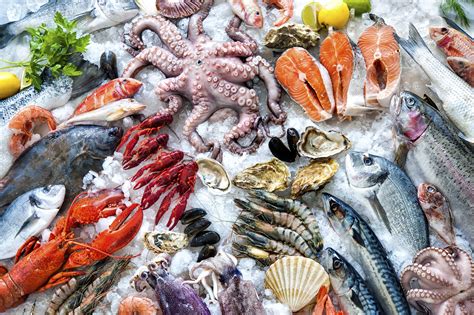 Scientists Warn Climate Change Could Cause End Of Marine Food Shine News