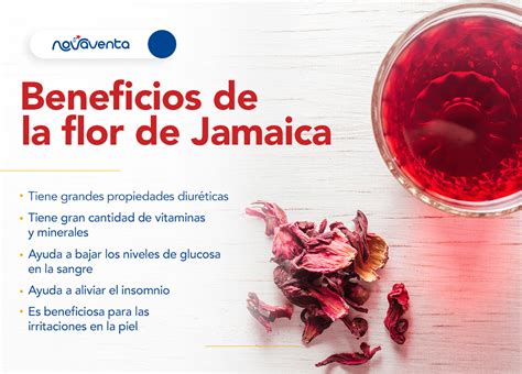 Sab As Que La Flor De Jamaica Tiene M Ltiples Beneficios Conoce