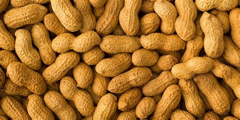 Top 10 Reasons To Steer Clear Of Peanuts And Peanut Butter Sapiens