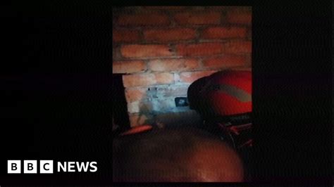 Call The Fire Brigade The Cat S Stuck Up The Chimney BBC News