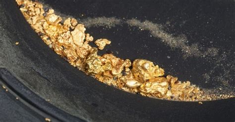 Gold Panning In Wyoming A Gold Prospecting Guide For 2024 Bizarrehobby
